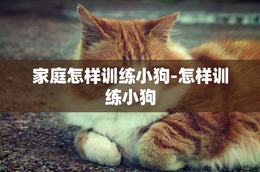 家庭怎樣訓練小狗-怎樣訓練小狗