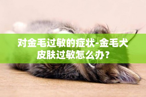 對金毛過敏的癥狀-金毛犬皮膚過敏怎么辦？