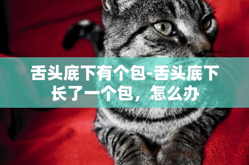 舌頭底下有個包-舌頭底下長了一個包，怎么辦