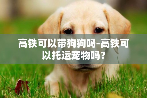 高鐵可以帶狗狗嗎-高鐵可以托運寵物嗎？