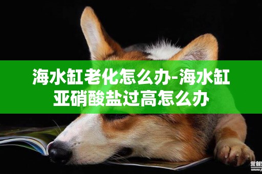 海水缸老化怎么辦-海水缸亞硝酸鹽過高怎么辦