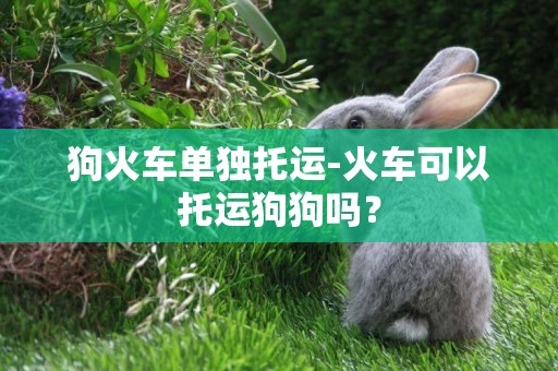 狗火車單獨托運-火車可以托運狗狗嗎？