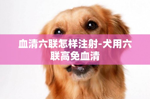 血清六聯怎樣注射-犬用六聯高免血清