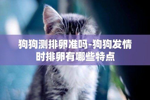 狗狗測排卵準嗎-狗狗發情時排卵有哪些特點