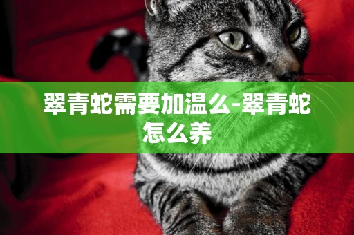 翠青蛇需要加溫么-翠青蛇怎么養