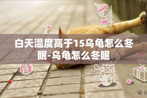 白天溫度高于15烏龜怎么冬眠-烏龜怎么冬眠