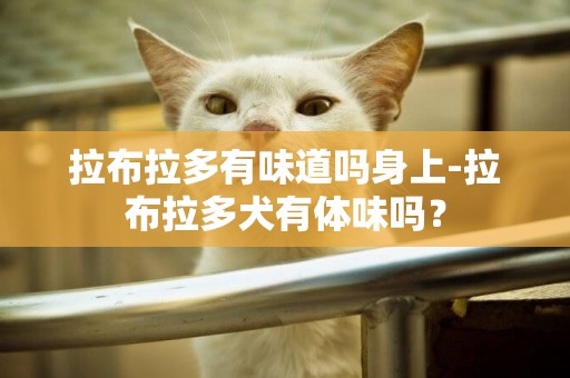 拉布拉多有味道嗎身上-拉布拉多犬有體味嗎？