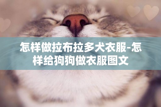 怎樣做拉布拉多犬衣服-怎樣給狗狗做衣服圖文