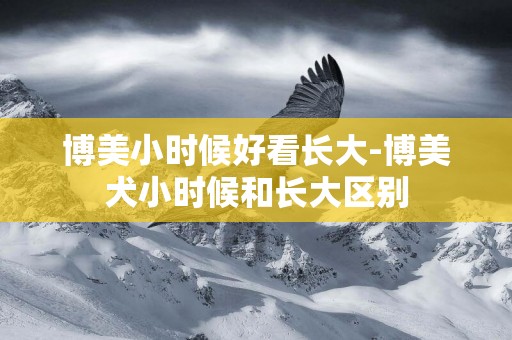 博美小時候好看長大-博美犬小時候和長大區別