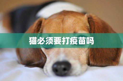貓必須要打疫苗嗎