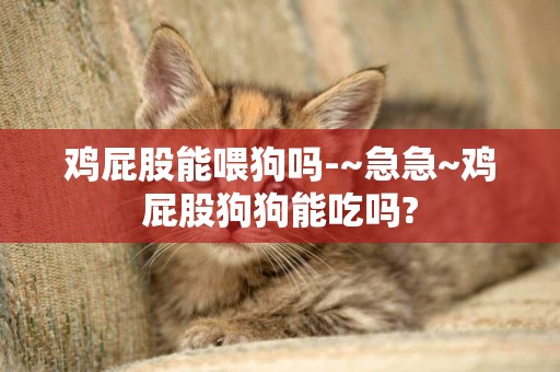 雞屁股能喂狗嗎-~急急~雞屁股狗狗能吃嗎?