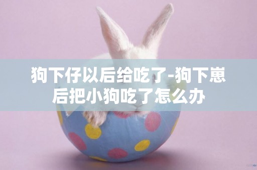 狗下仔以后給吃了-狗下崽后把小狗吃了怎么辦