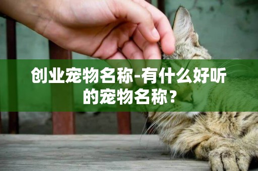 創業寵物名稱-有什么好聽的寵物名稱？