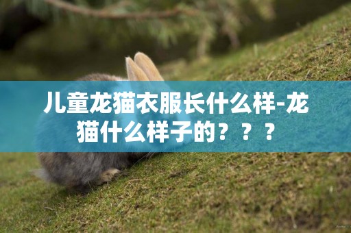 兒童龍貓衣服長什么樣-龍貓什么樣子的？？？