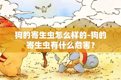 狗的寄生蟲怎么樣的-狗的寄生蟲有什么危害？