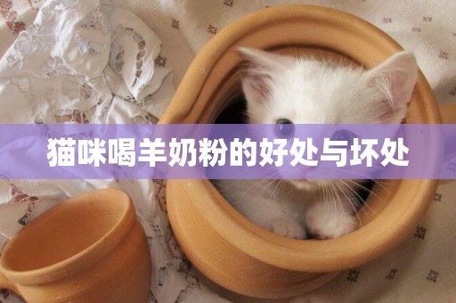貓咪喝羊奶粉的好處與壞處
