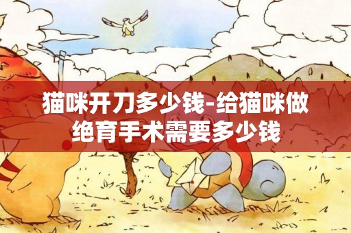 貓咪開刀多少錢-給貓咪做絕育手術需要多少錢