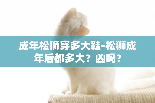 成年松獅穿多大鞋-松獅成年后都多大？兇嗎？