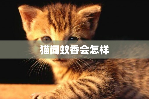 貓聞蚊香會怎樣