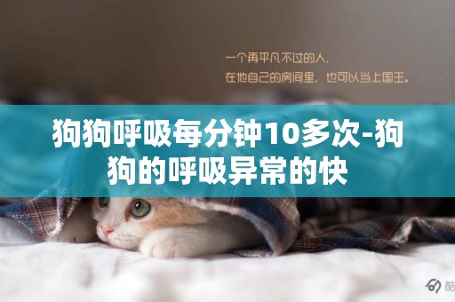 狗狗呼吸每分鐘10多次-狗狗的呼吸異常的快