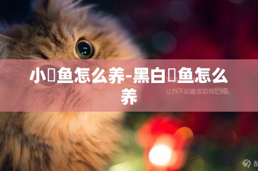 小魟魚怎么養-黑白魟魚怎么養
