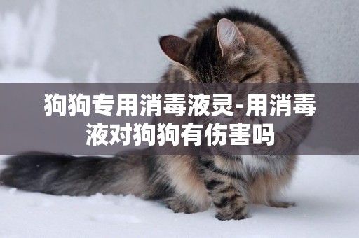 狗狗專用消毒液靈-用消毒液對狗狗有傷害嗎
