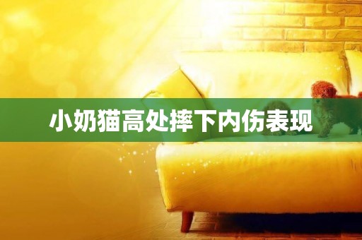 小奶貓高處摔下內傷表現