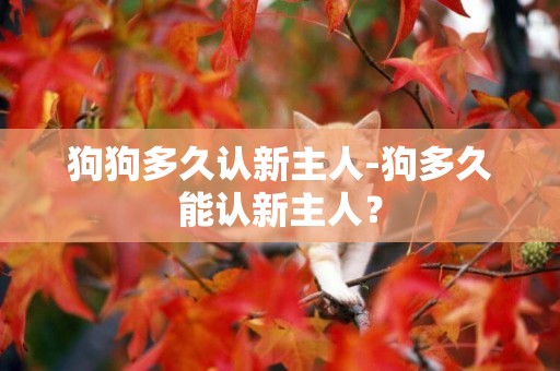 狗狗多久認新主人-狗多久能認新主人？