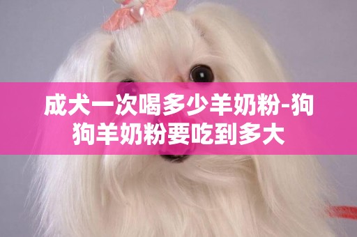 成犬一次喝多少羊奶粉-狗狗羊奶粉要吃到多大
