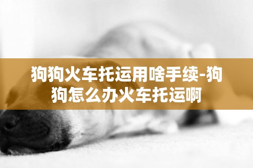 狗狗火車托運用啥手續-狗狗怎么辦火車托運啊