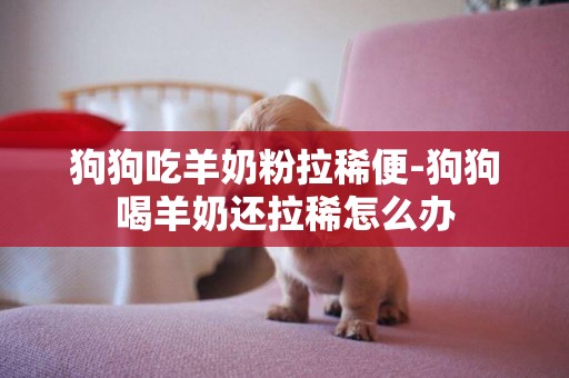 狗狗吃羊奶粉拉稀便-狗狗喝羊奶還拉稀怎么辦