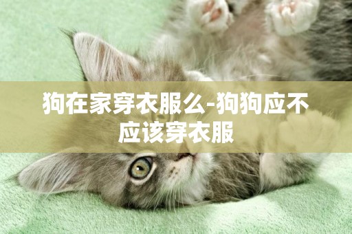 狗在家穿衣服么-狗狗應不應該穿衣服
