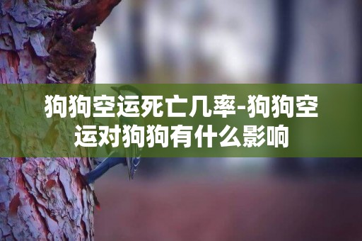 狗狗空運死亡幾率-狗狗空運對狗狗有什么影響