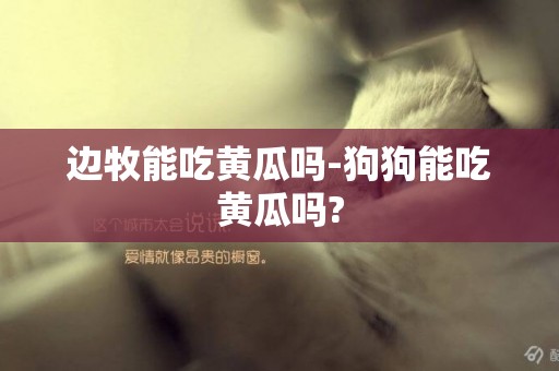 邊牧能吃黃瓜嗎-狗狗能吃黃瓜嗎?