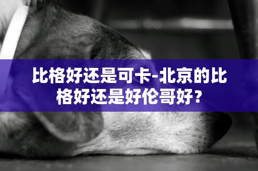 比格好還是可卡-北京的比格好還是好倫哥好？