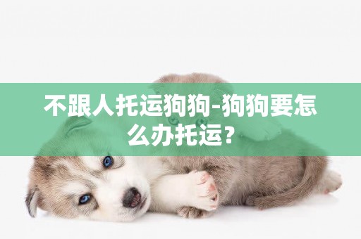 不跟人托運狗狗-狗狗要怎么辦托運？