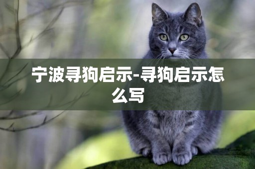 寧波尋狗啟示-尋狗啟示怎么寫