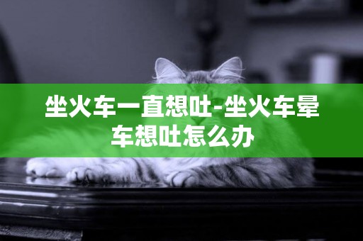 坐火車一直想吐-坐火車暈車想吐怎么辦