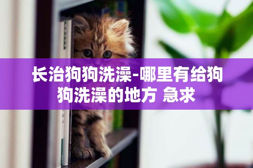 長治狗狗洗澡-哪里有給狗狗洗澡的地方 急求