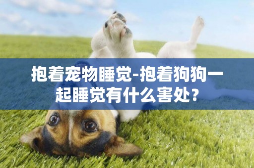 抱著寵物睡覺-抱著狗狗一起睡覺有什么害處？