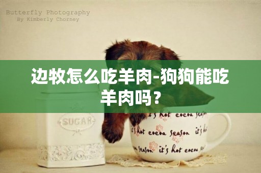 邊牧怎么吃羊肉-狗狗能吃羊肉嗎？