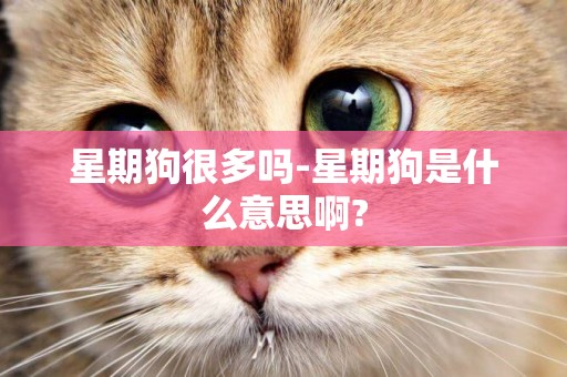 星期狗很多嗎-星期狗是什么意思啊?