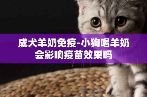 成犬羊奶免疫-小狗喝羊奶會影響疫苗效果嗎