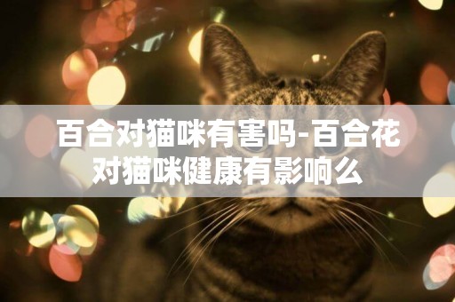 百合對貓咪有害嗎-百合花對貓咪健康有影響么