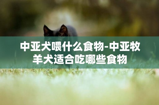 中亞犬喂什么食物-中亞牧羊犬適合吃哪些食物