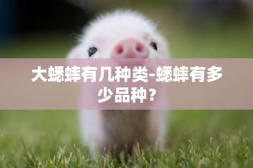 大蟋蟀有幾種類-蟋蟀有多少品種？