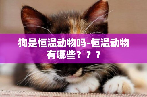 狗是恒溫動物嗎-恒溫動物有哪些？？？