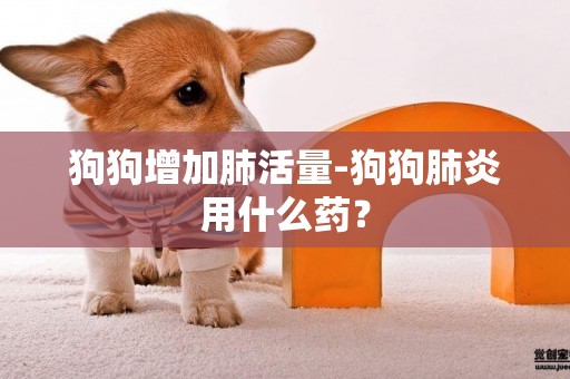 狗狗增加肺活量-狗狗肺炎用什么藥？