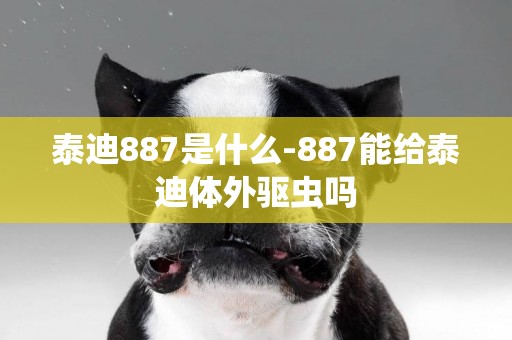 泰迪887是什么-887能給泰迪體外驅蟲嗎