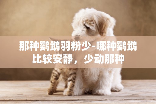 那種鸚鵡羽粉少-哪種鸚鵡比較安靜，少動那種